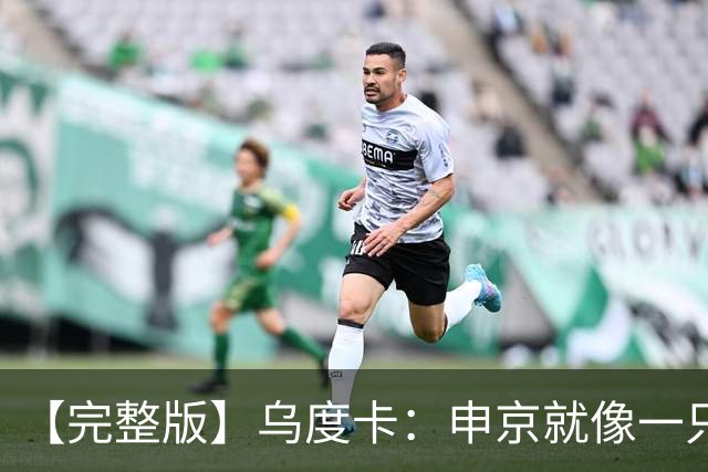 【完整版】乌度卡：申京就像一只斗牛犬 不在乎谁得分只要能赢球