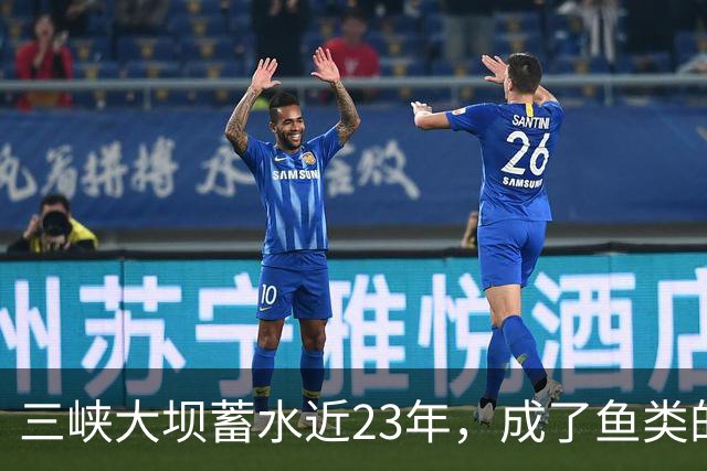 三峡大坝蓄水近23年，成了鱼类的天堂，如今库区最大鱼有多大？