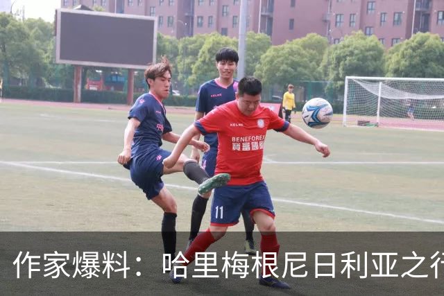 作家爆料：哈里梅根尼日利亚之行激怒查尔斯，曾讨论剥夺头衔