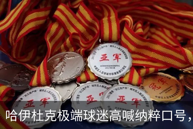 哈伊杜克极端球迷高喊纳粹口号，克罗地亚政府发声明强烈谴责