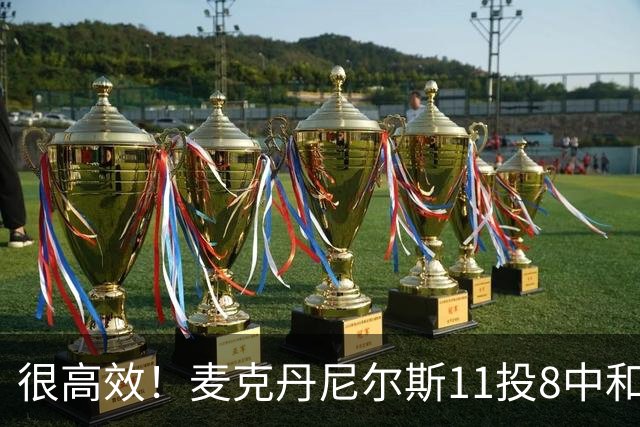 很高效！麦克丹尼尔斯11投8中&三分3中1得到17分8板4断