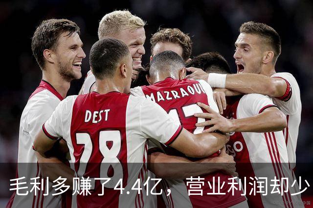 毛利多赚了4.4亿，营业利润却少了9亿：特斯拉的钱去哪了？