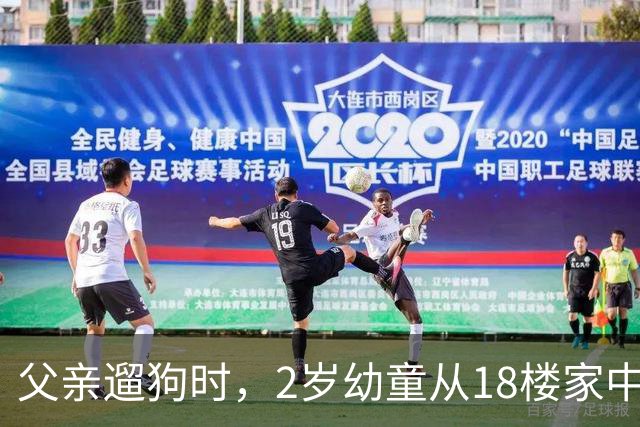 父亲遛狗时，2岁幼童从18楼家中坠亡：母亲报案“过失致人死亡”未获立案，称将申请立案监督