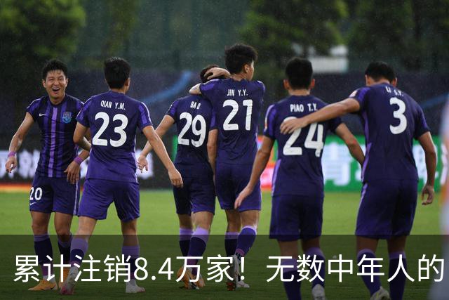 累计注销8.4万家！无数中年人的“庇护所”，如今为何跌下神坛？