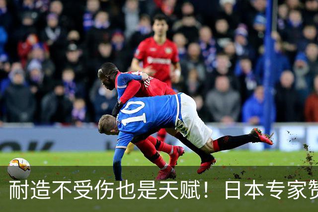 耐造不受伤也是天赋！日本专家赞张本智和：他一家子都身体底子过硬