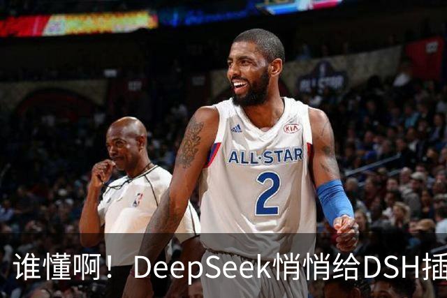 谁懂啊！DeepSeek悄悄给DSH插件开发者发钱了