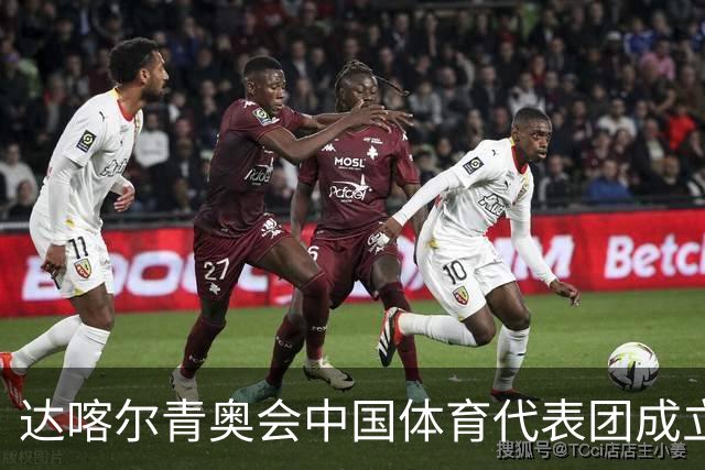达喀尔青奥会中国体育代表团成立
